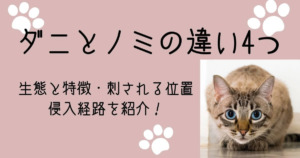 蚊取り線香はダニやノミに効く?効果的な使い方やおすすめ商品も紹介 | ダニSOS