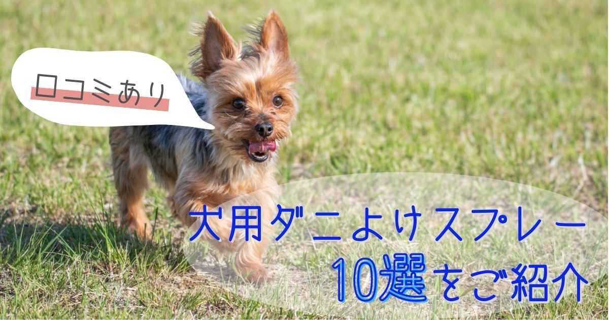 【口コミあり】犬用ダニよけスプレー10選をご紹介します！