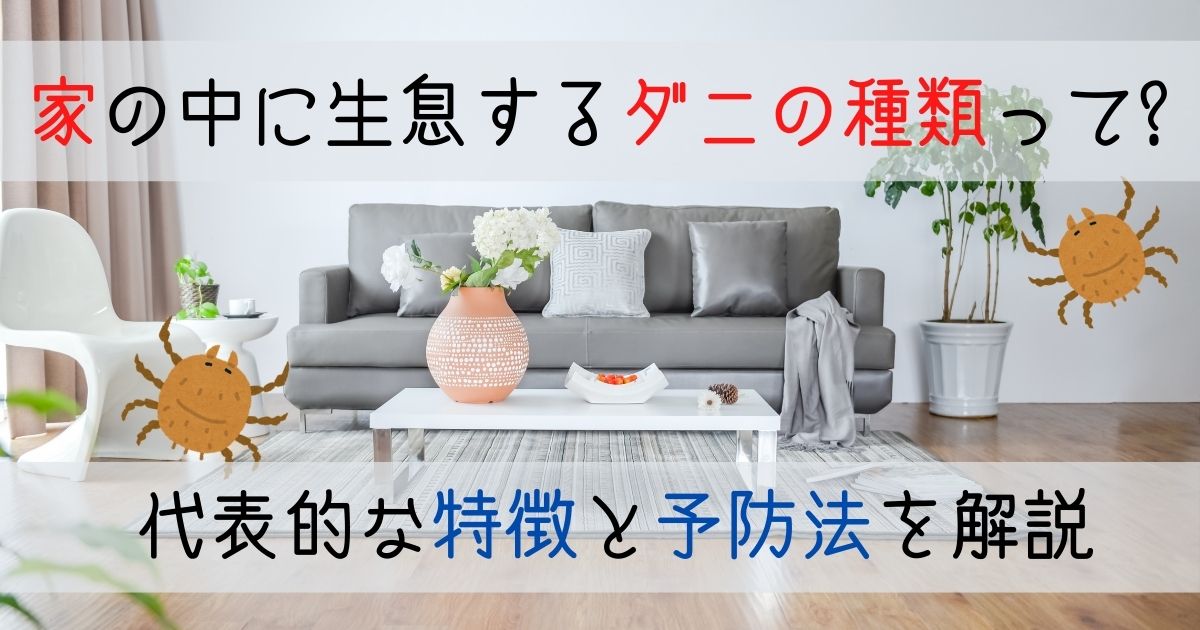 家の中に生息するダニの種類って?代表的な特徴と予防法を解説 | ダニSOS