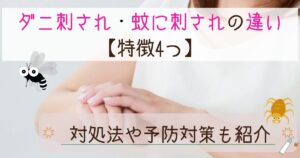 イエダニとツメダニは人を刺す!刺された時の症状と対処法を紹介 | ダニSOS