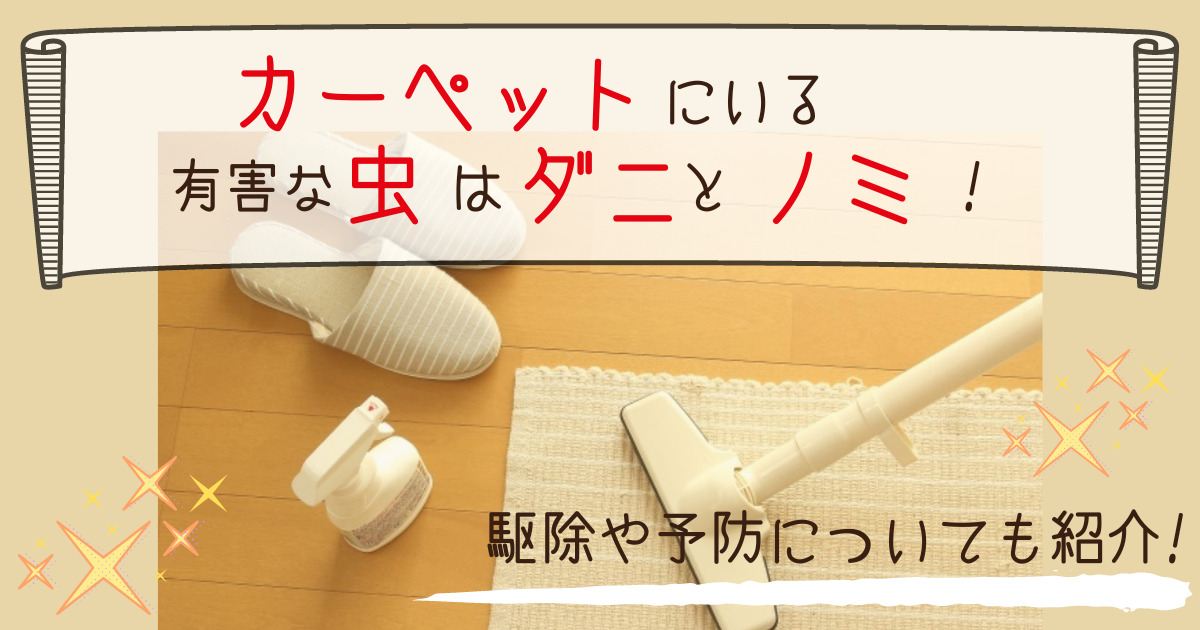 カーペットにいる有害な虫はダニとノミ!駆除や予防についても紹介 | ダニSOS