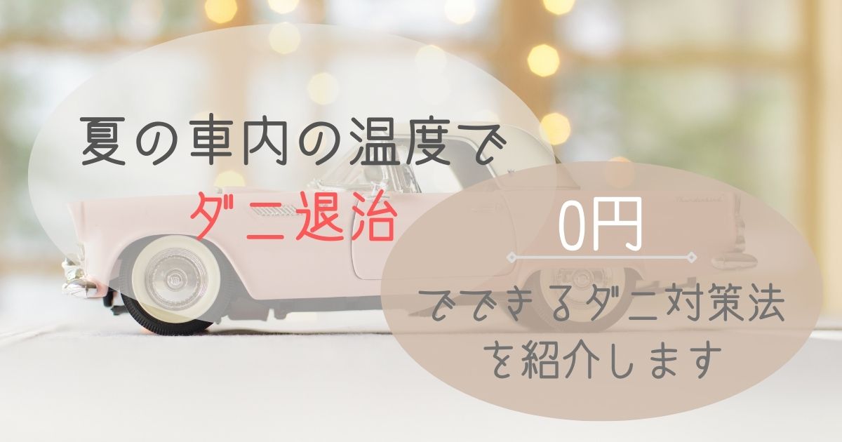 夏の車内の温度でダニ退治｜0円でできるダニ対策法を紹介します