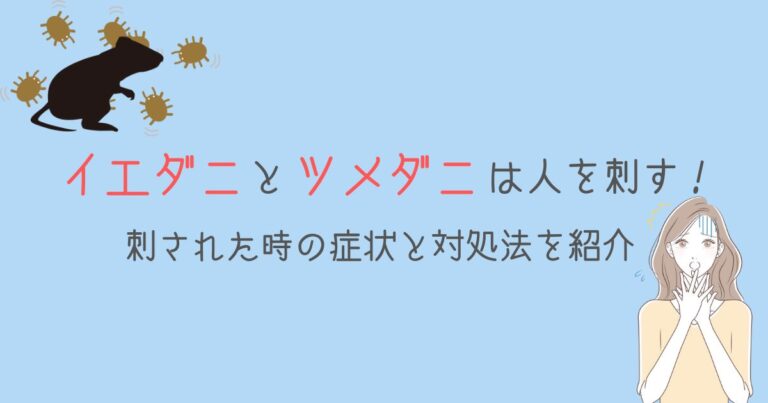 イエダニとツメダニは人を刺す!刺された時の症状と対処法を紹介 | ダニSOS
