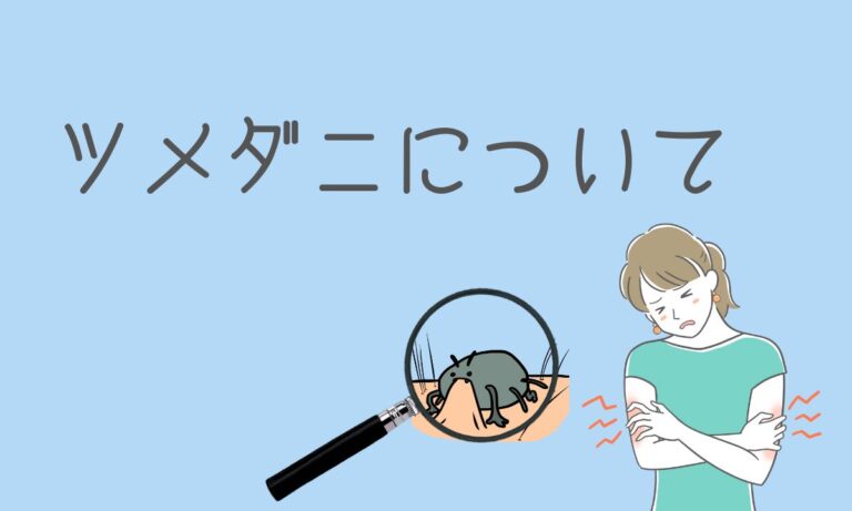 イエダニとツメダニは人を刺す!刺された時の症状と対処法を紹介 | ダニSOS