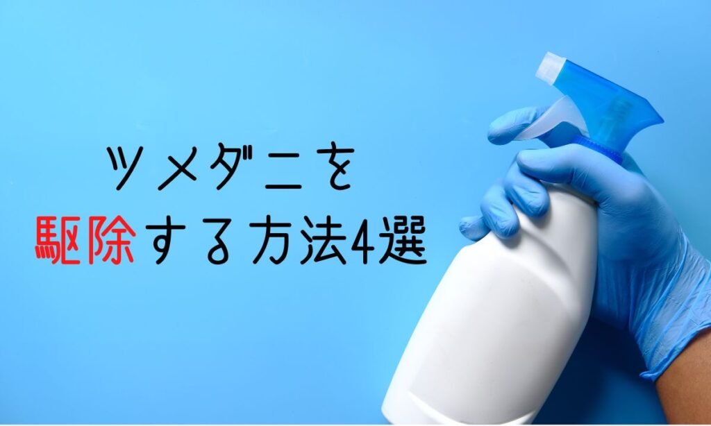 ツメダニに刺されてかゆい!ダニ刺されで悩むあなたに対策方法を解説 | ダニSOS